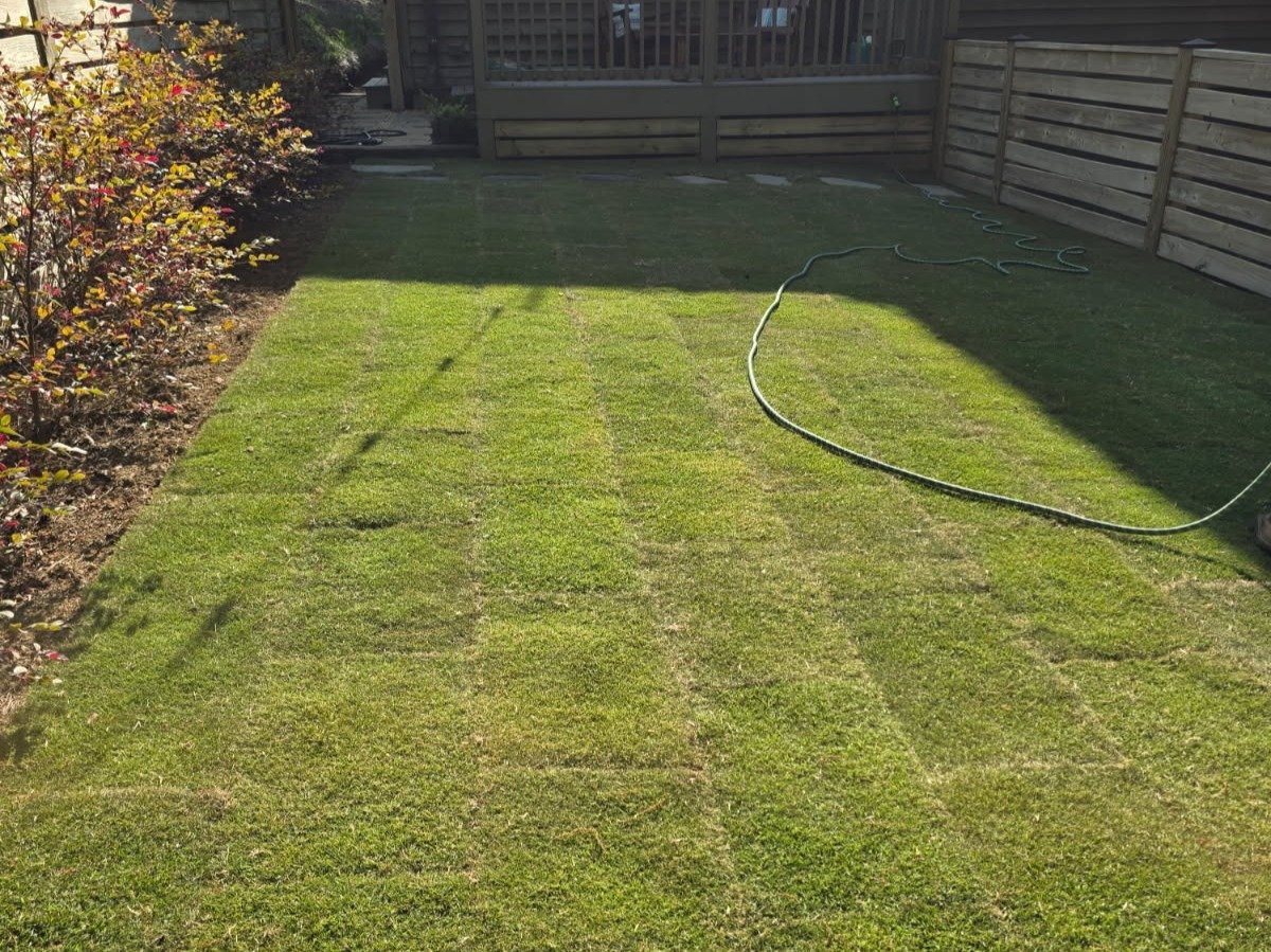 Romero Landscaping